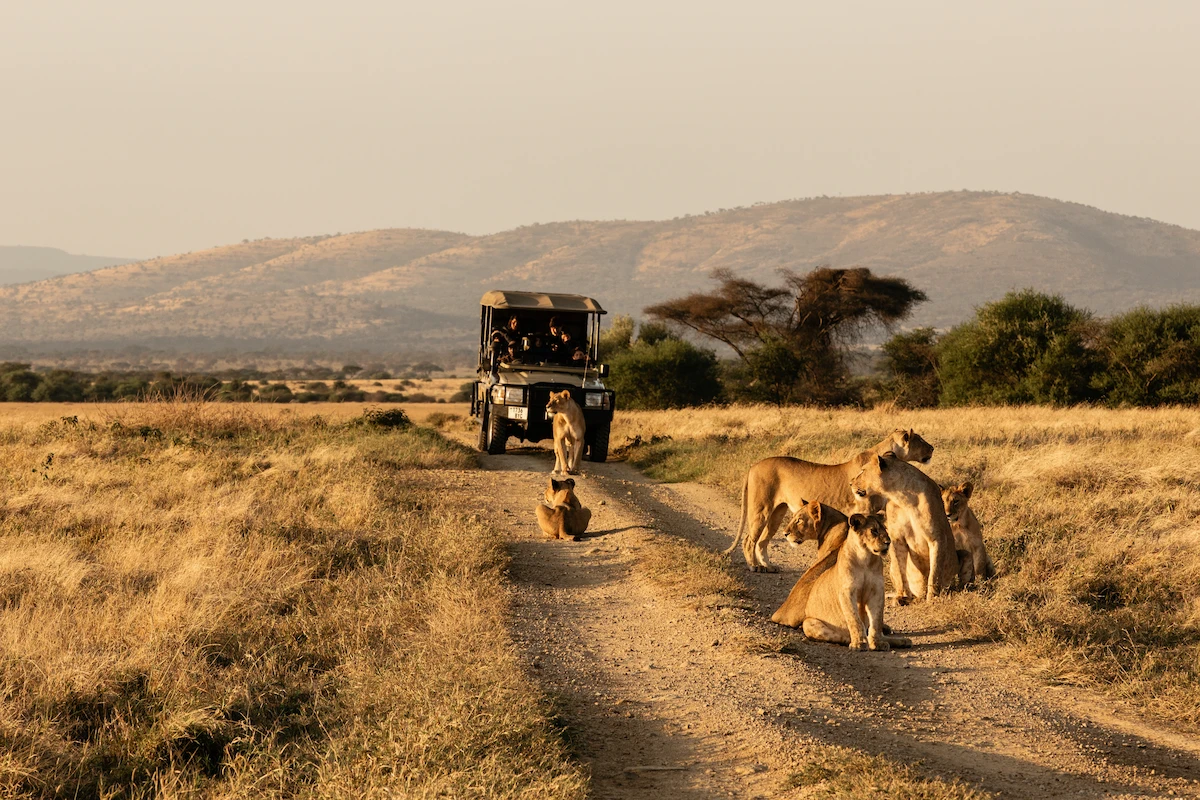 Amboseli gallery 9