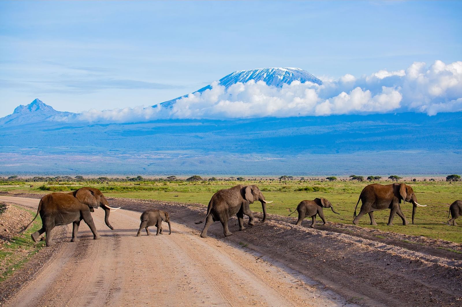 Amboseli