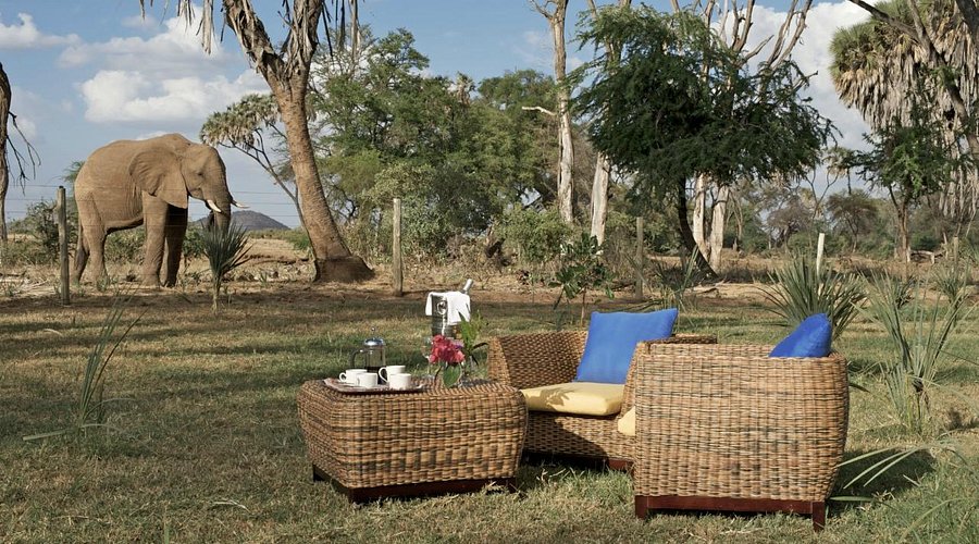 Ashnil Samburu Camp gallery 14