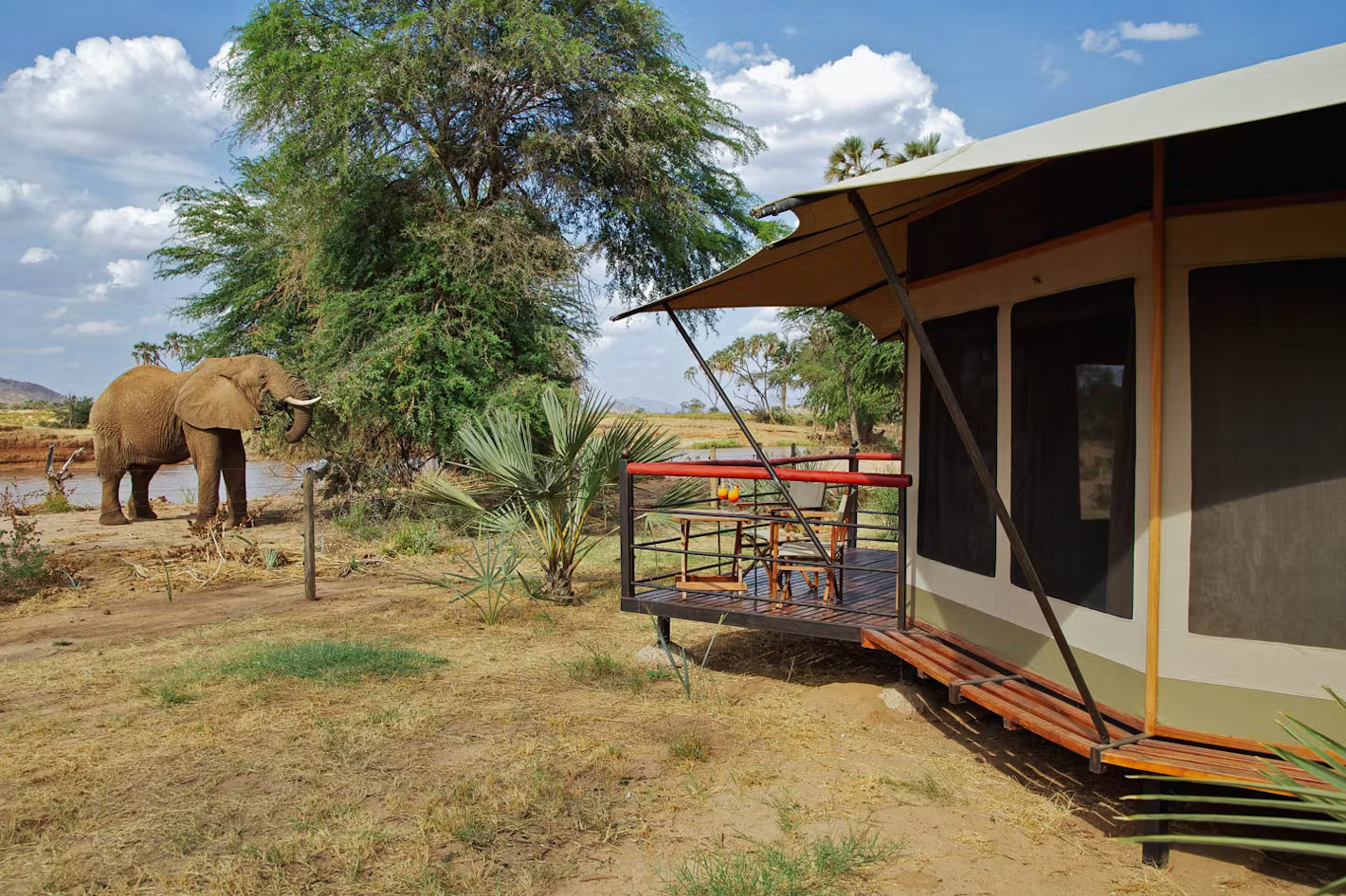 Ashnil Samburu Camp gallery 3