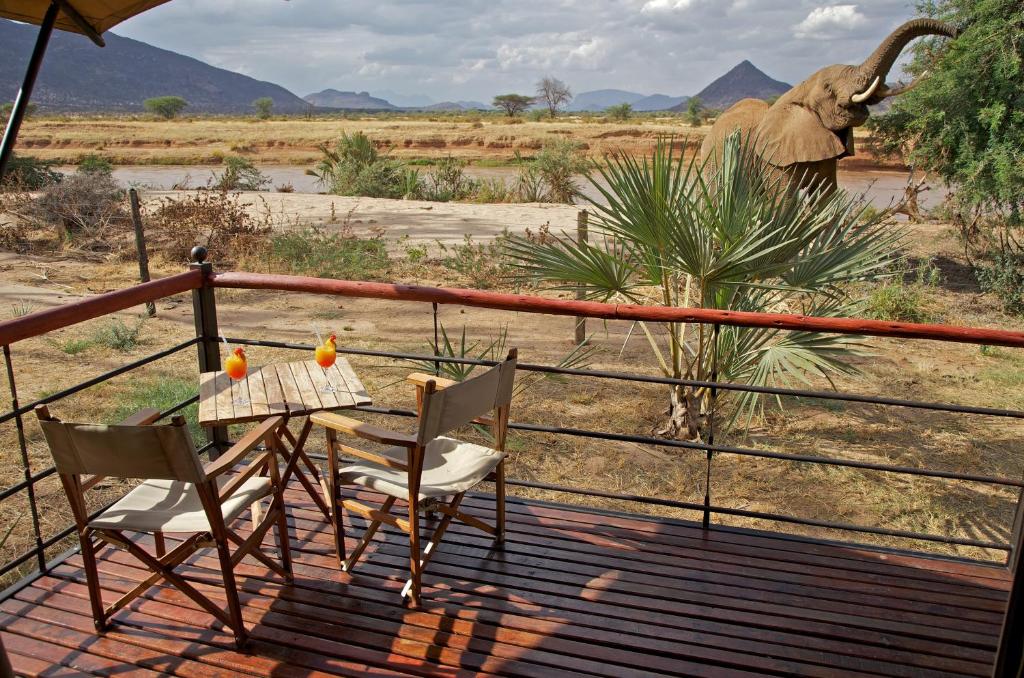 Ashnil Samburu Camp gallery 6