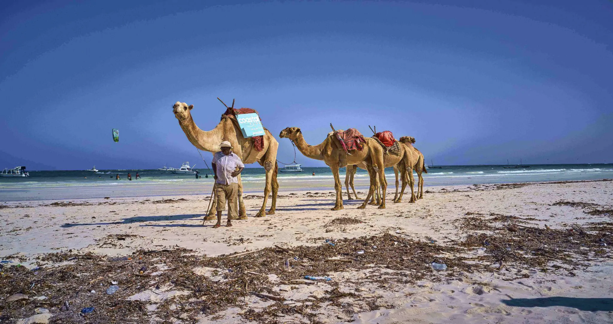 Diani gallery 8