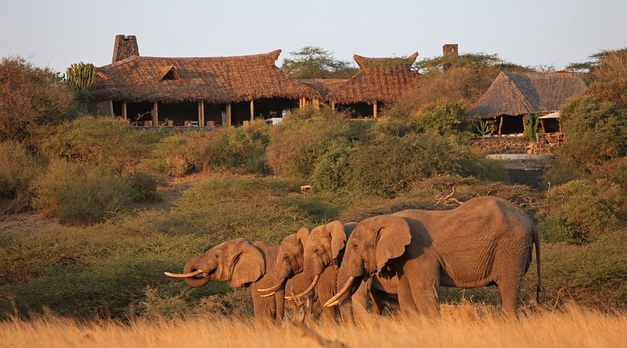 Ol Donyo Lodge gallery 7