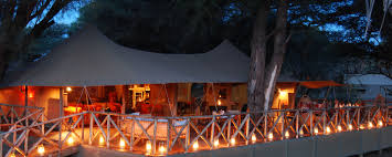 Elephant Bedroom Camp gallery 12