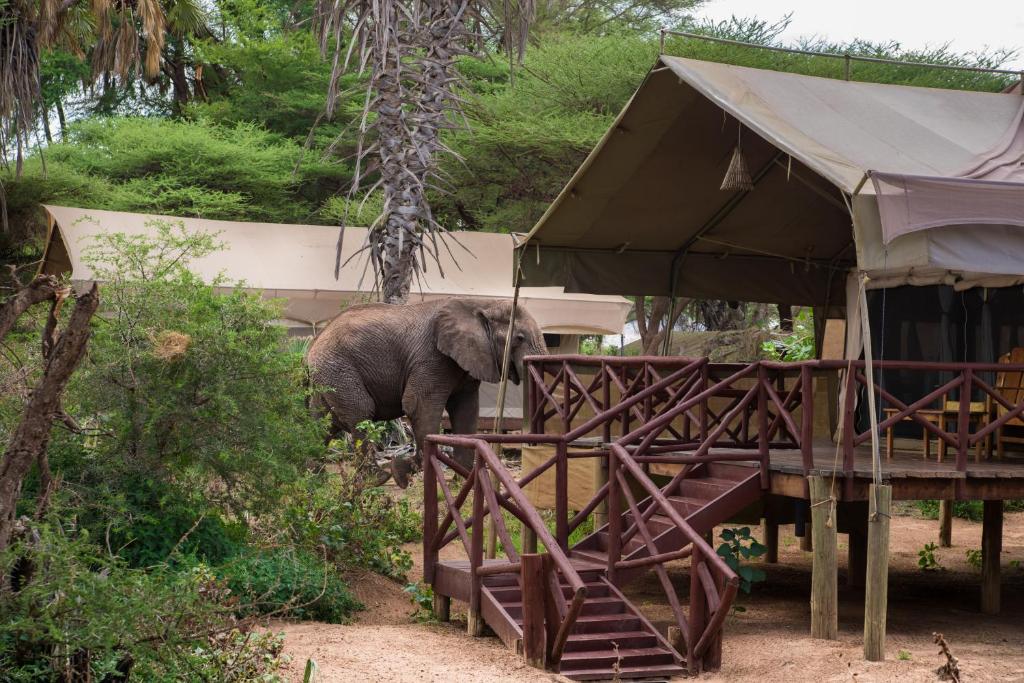 Elephant Bedroom Camp gallery 15