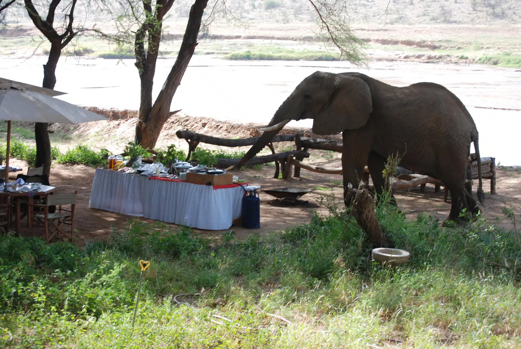 Elephant Bedroom Camp gallery 2