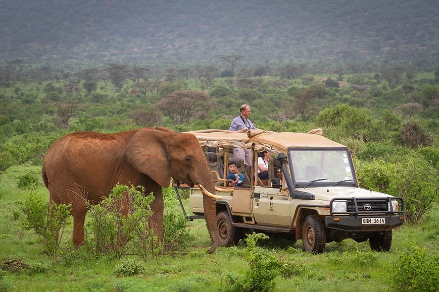 Elephant Bedroom Camp gallery 4
