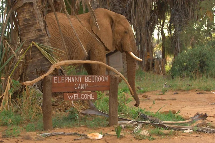 Elephant Bedroom Camp gallery 5