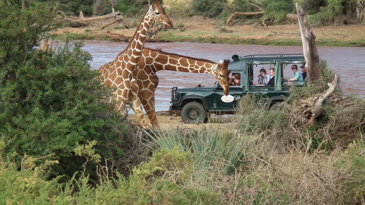 Samburu Intrepids Tented Camp gallery 4
