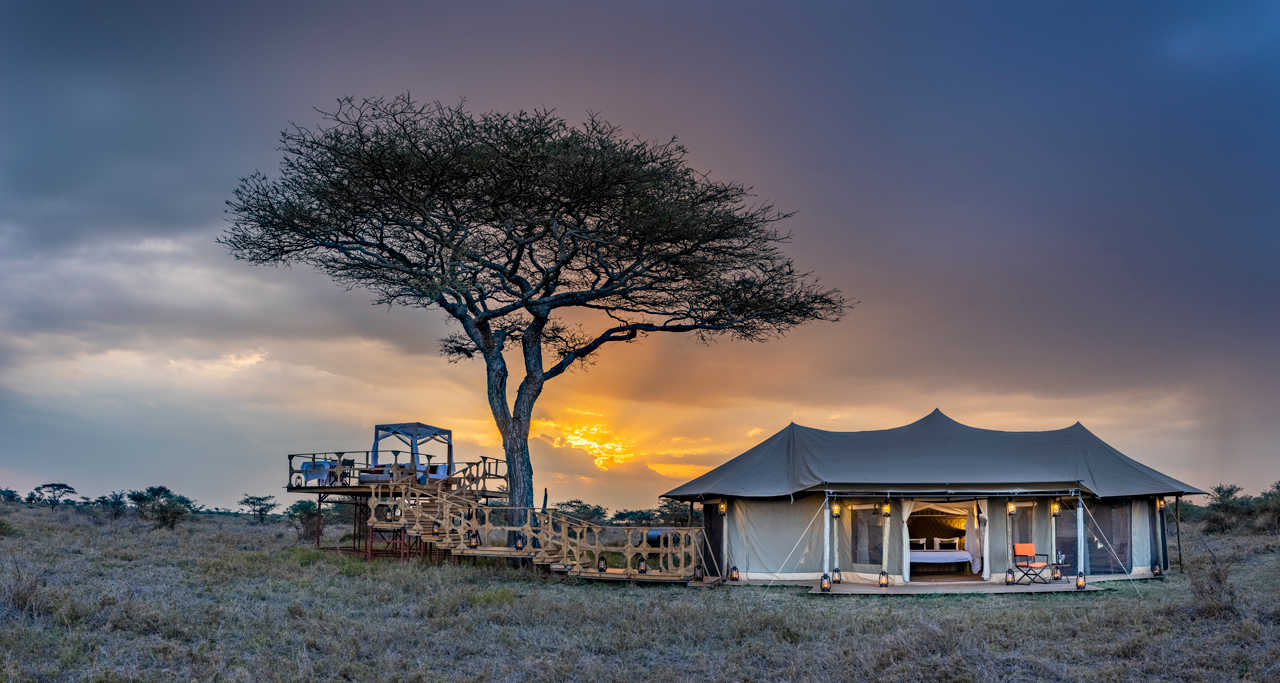 Kenya's Wild Heart: A 10-Day Premium Safari Adventure