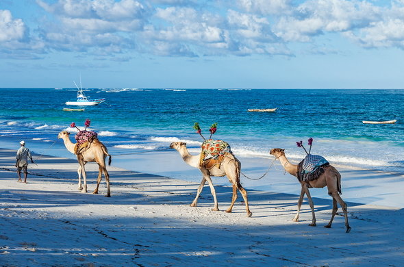 Malindi gallery 2