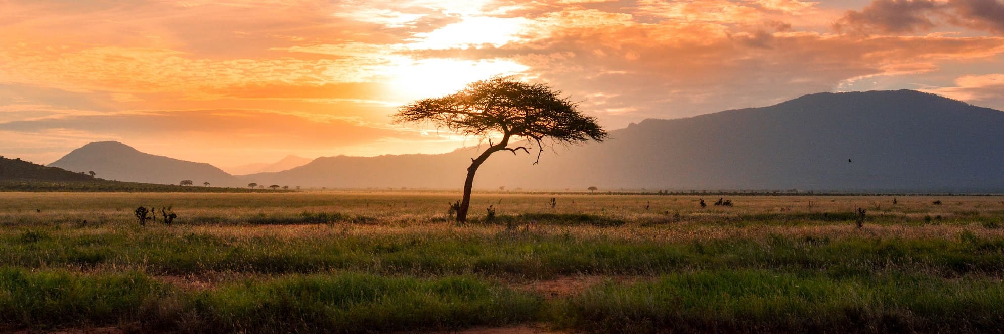Masai Mara gallery 3
