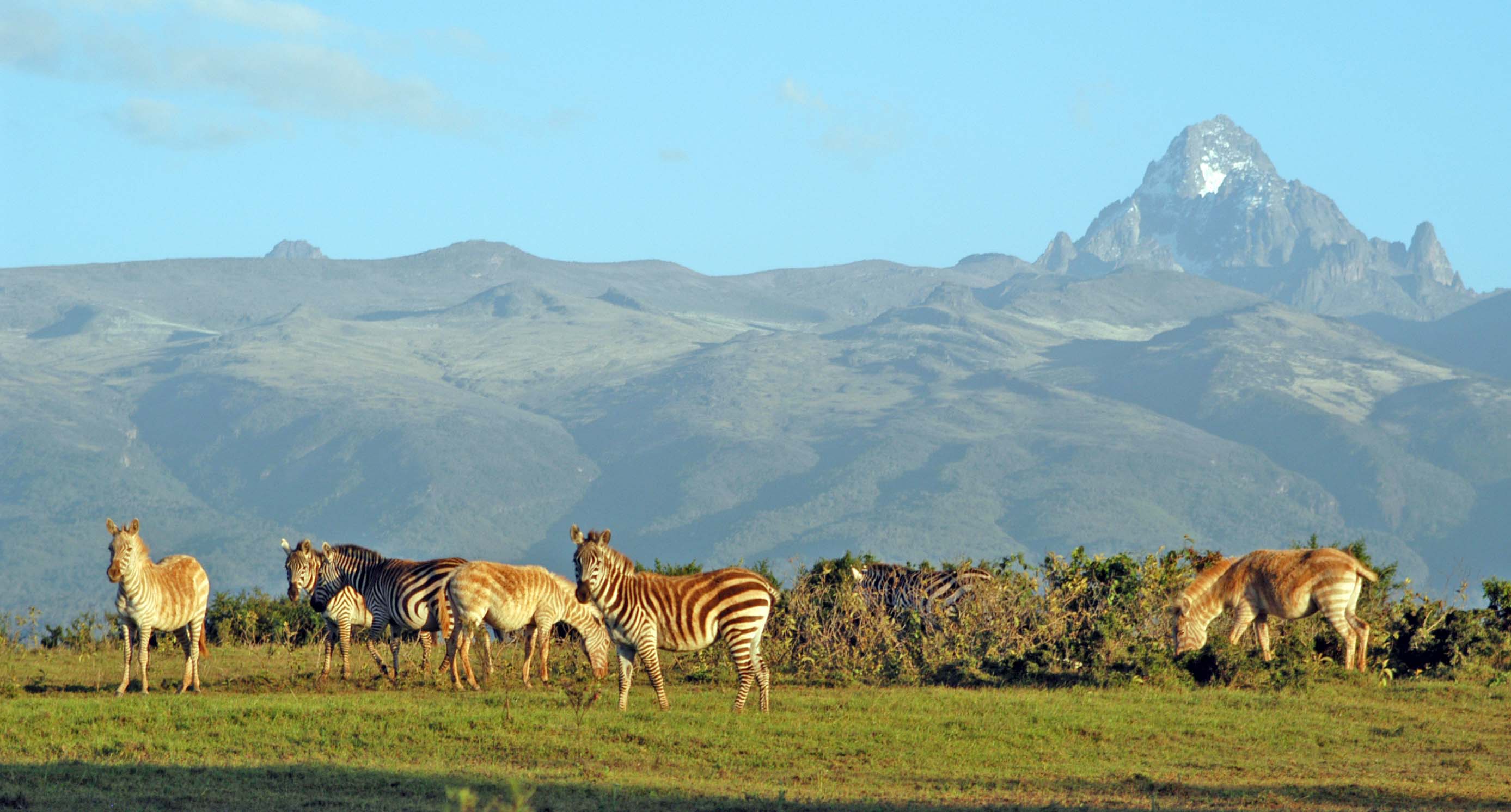 Mt. Kenya gallery 3