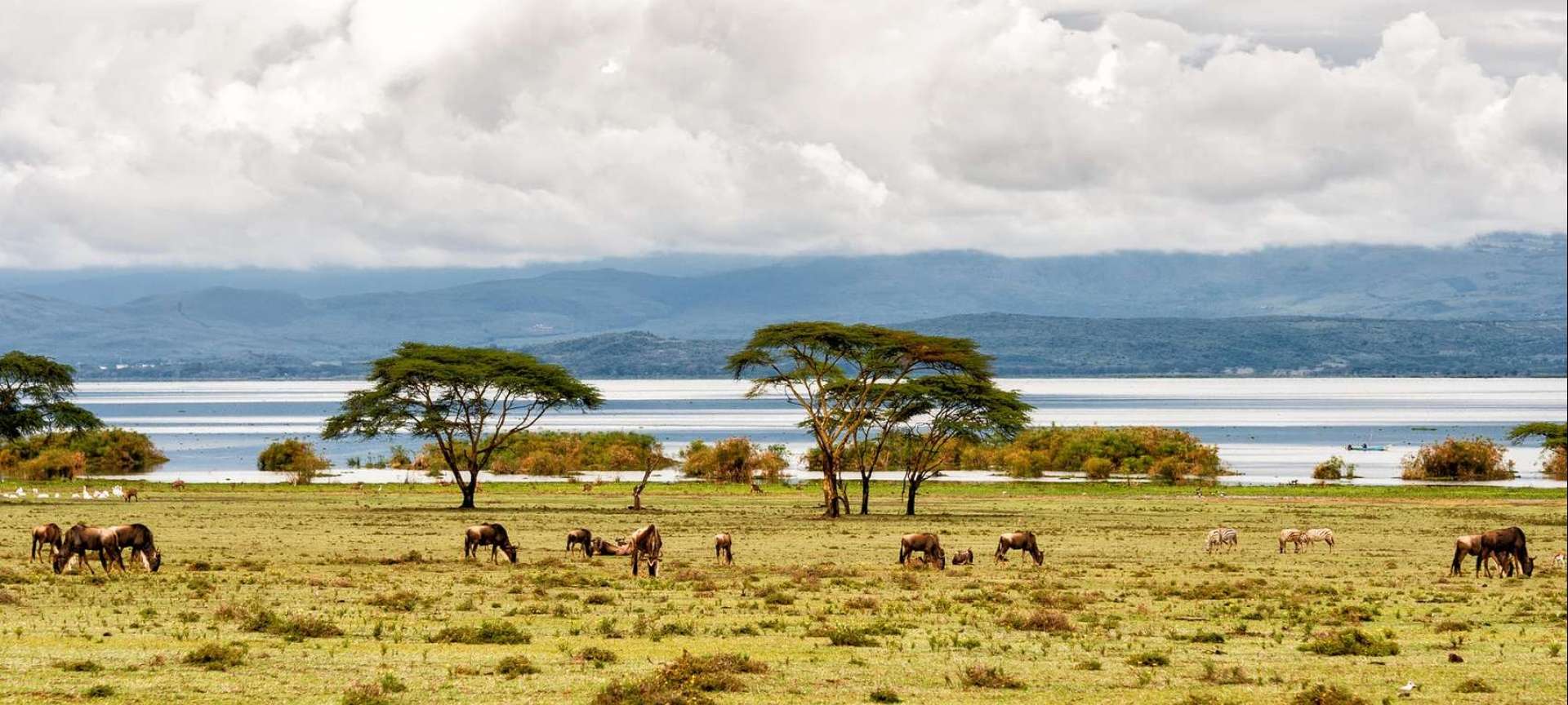 Naivasha gallery 2
