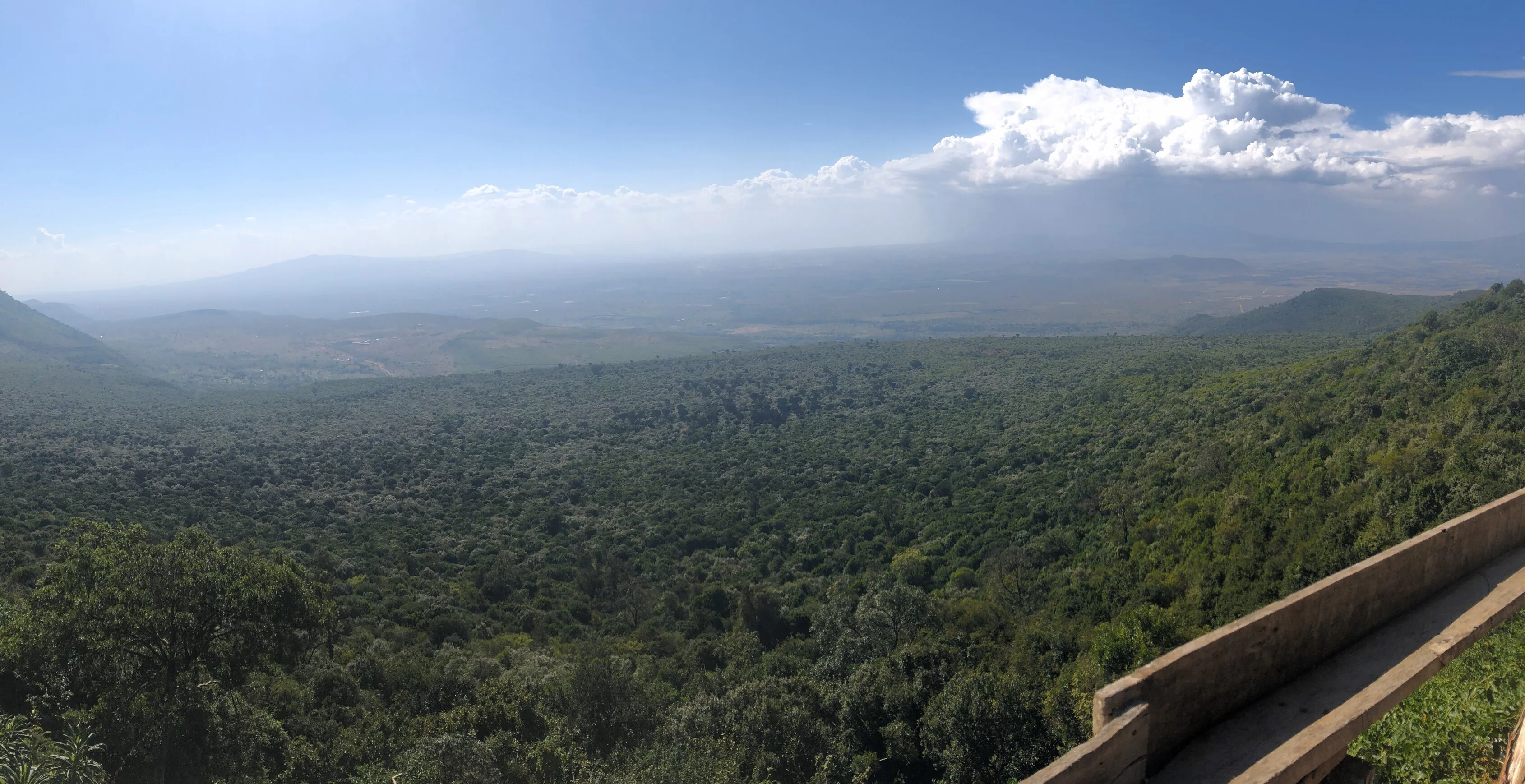Naivasha gallery 3