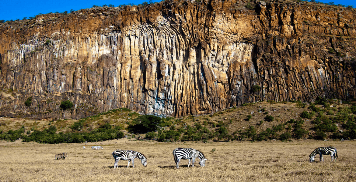 Naivasha gallery 6