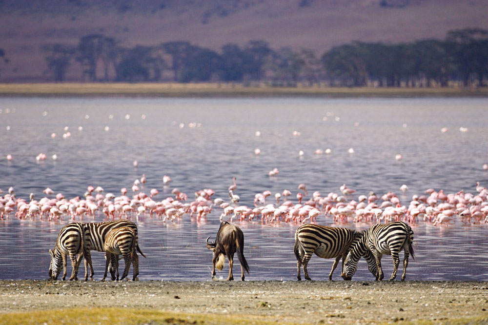 Naivasha gallery 9