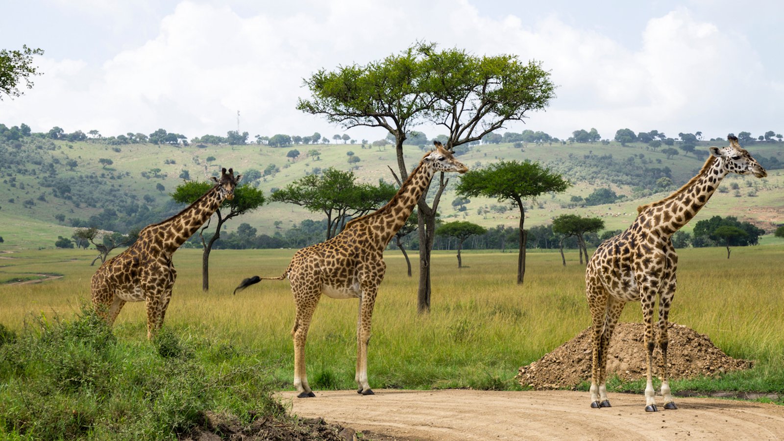 Naivasha