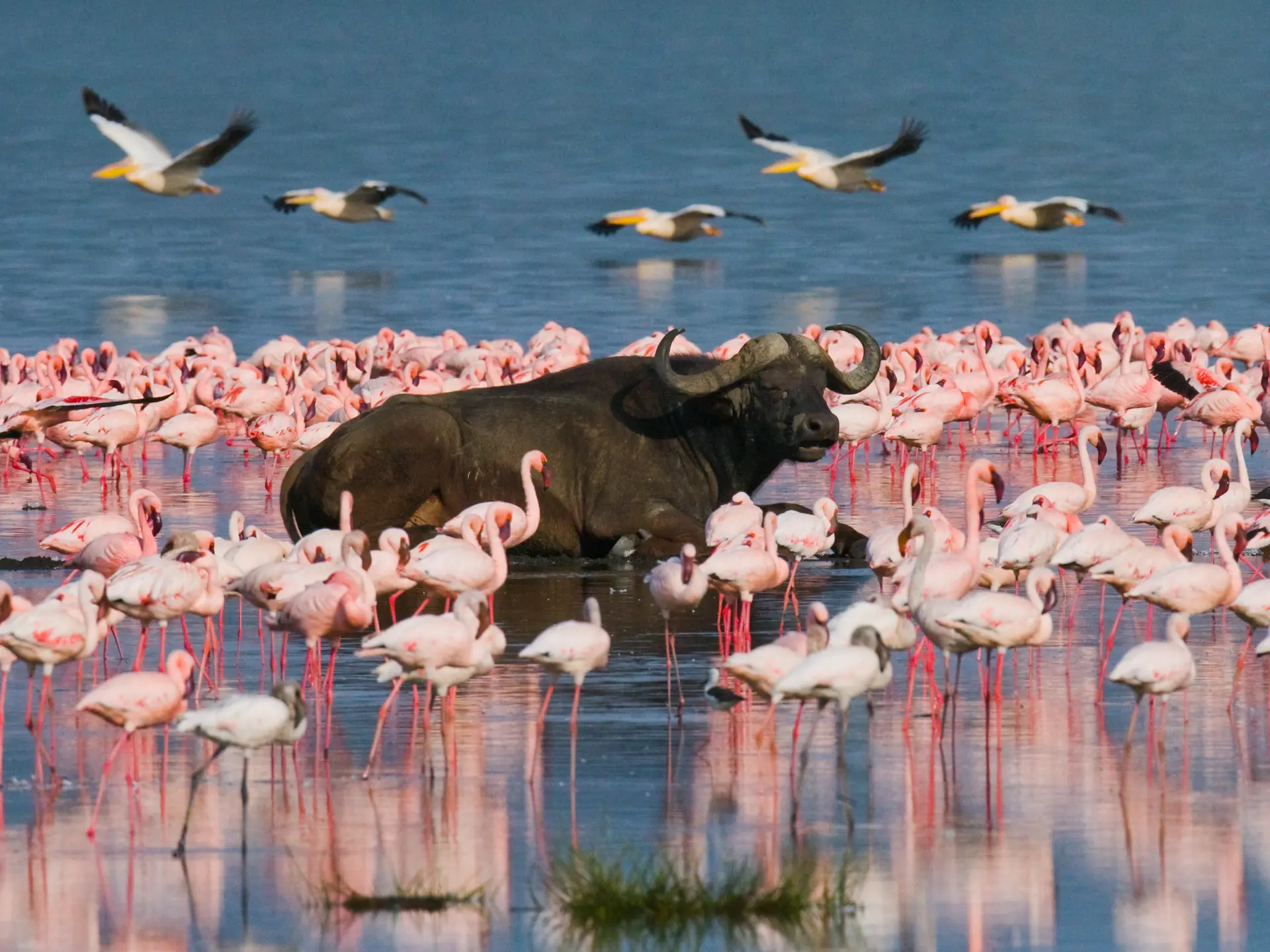 Nakuru