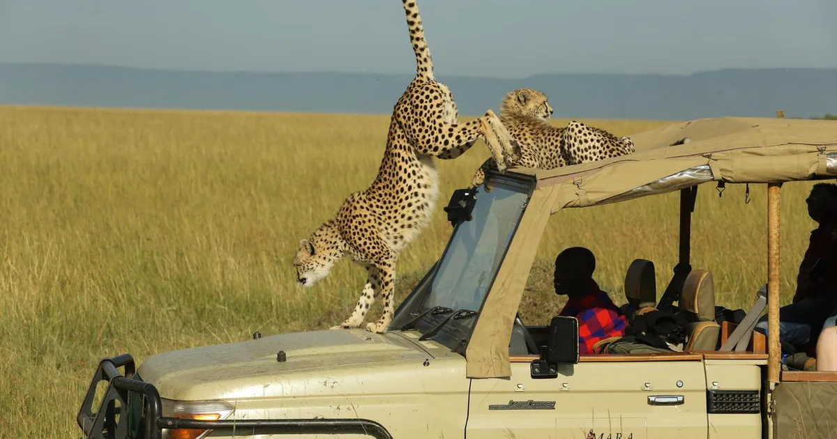 Mara Ngenche Camp gallery 1