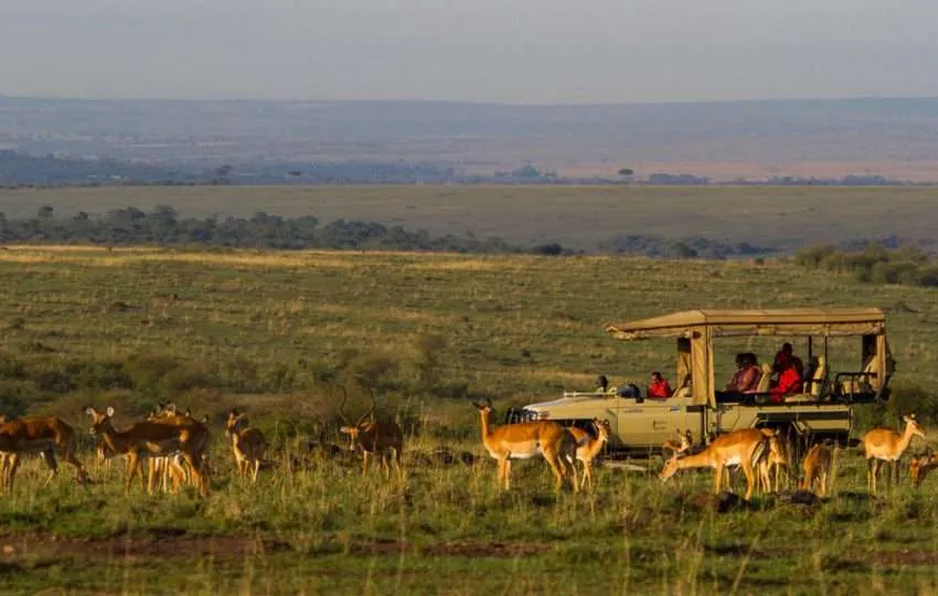 Mara Ngenche Camp gallery 2