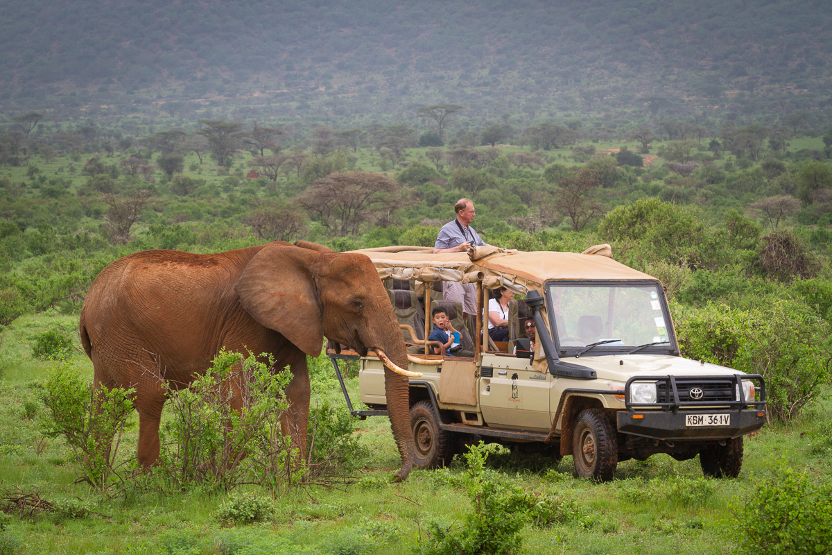 Samburu gallery 1