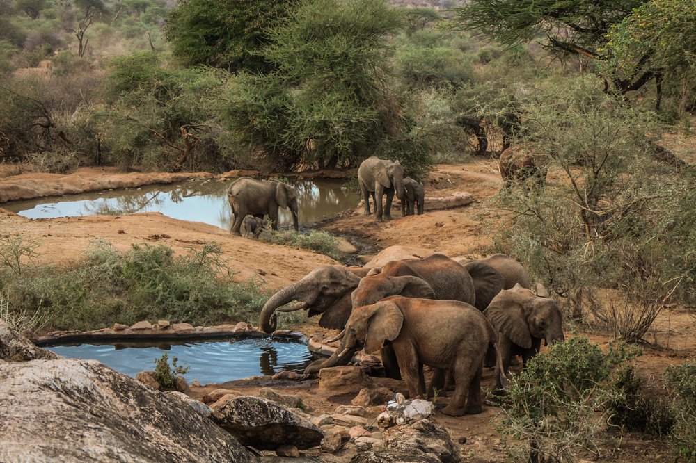 Sarara Camp gallery 7