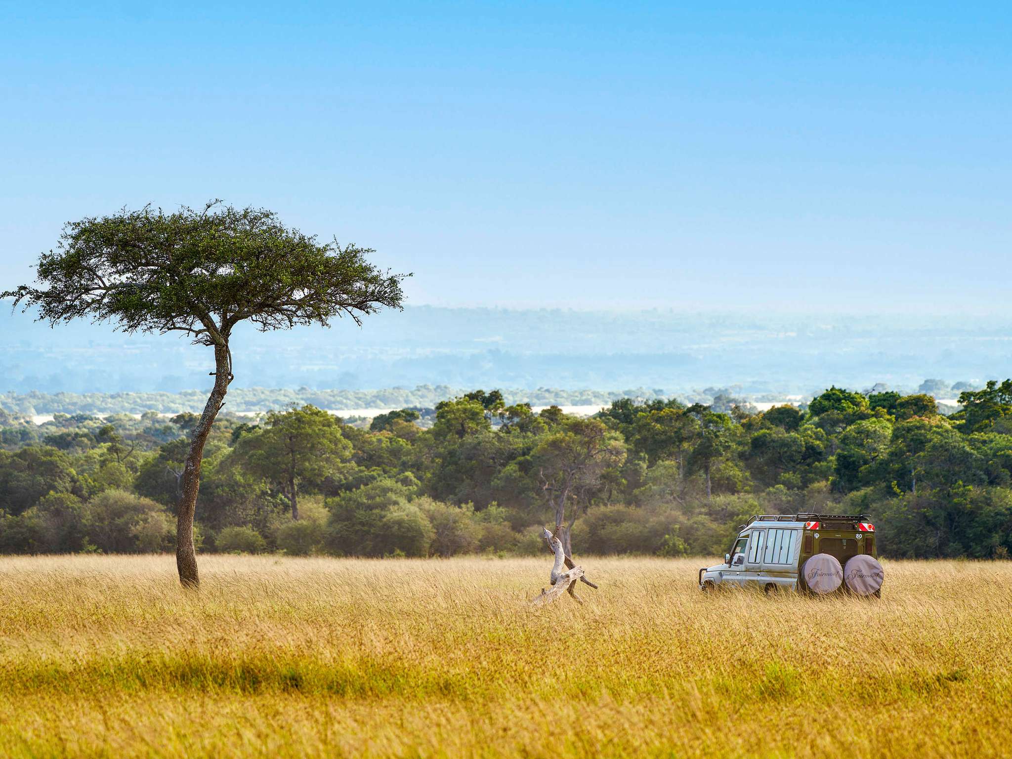 8-Day Premium Tanzania Safari: Journey to the Ngorongoro Crater