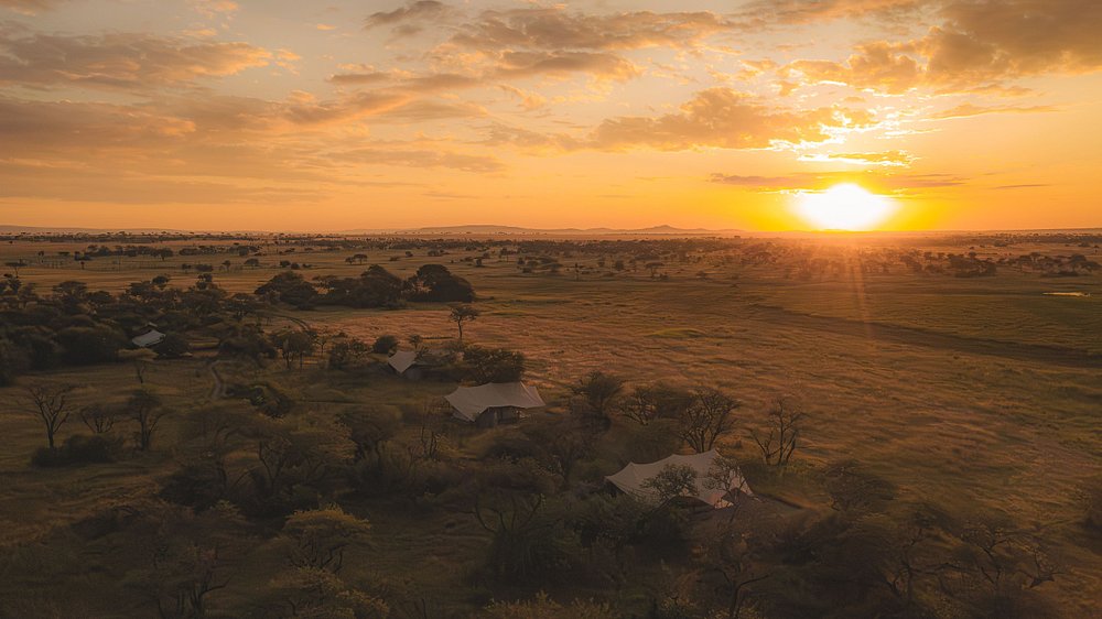 10-Day Tanzania Luxury Safari: Arusha to Ngorongoro's Wonders