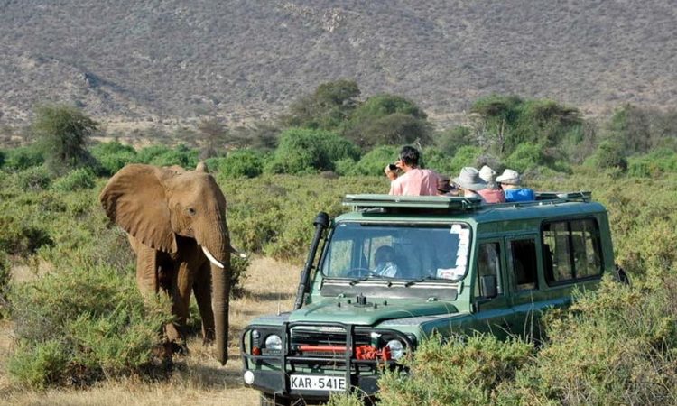 Tsavo gallery 2