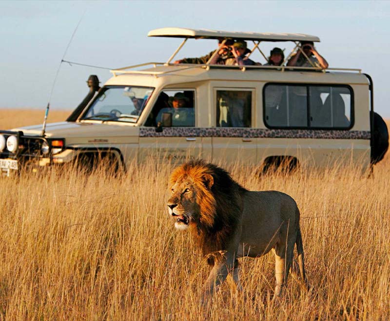 Tsavo gallery 3