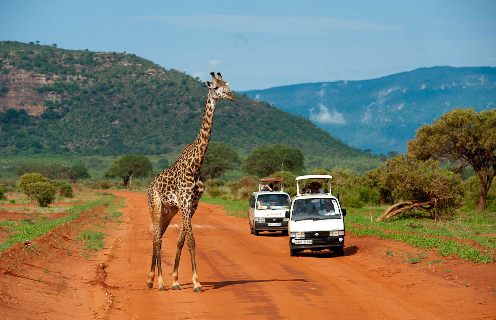 Tsavo gallery 8