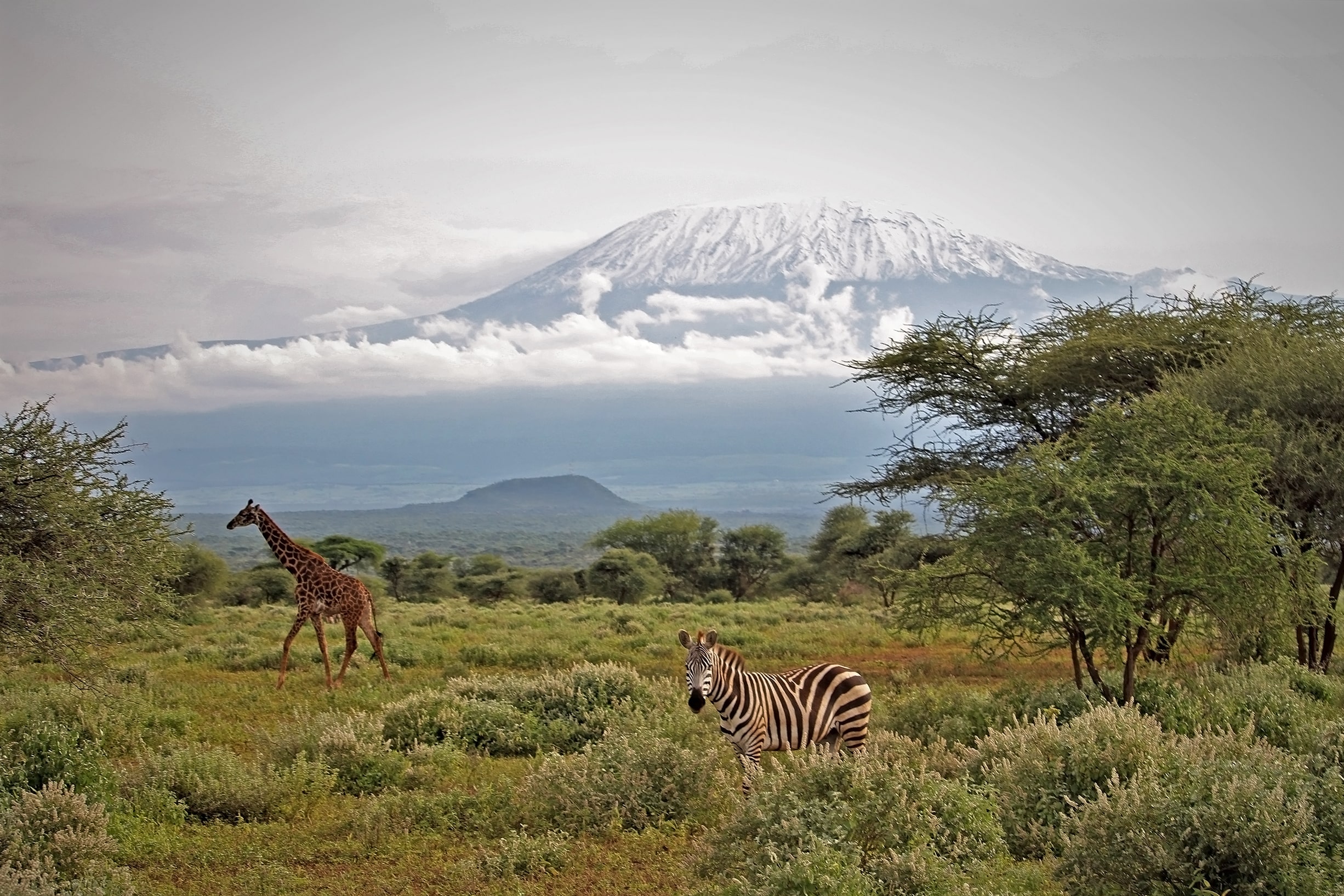 Tulia Amboseli Safari Camp gallery 1