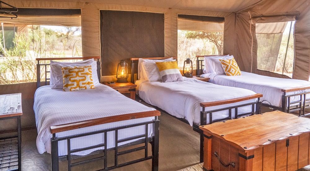 Tulia Amboseli Safari Camp gallery 12