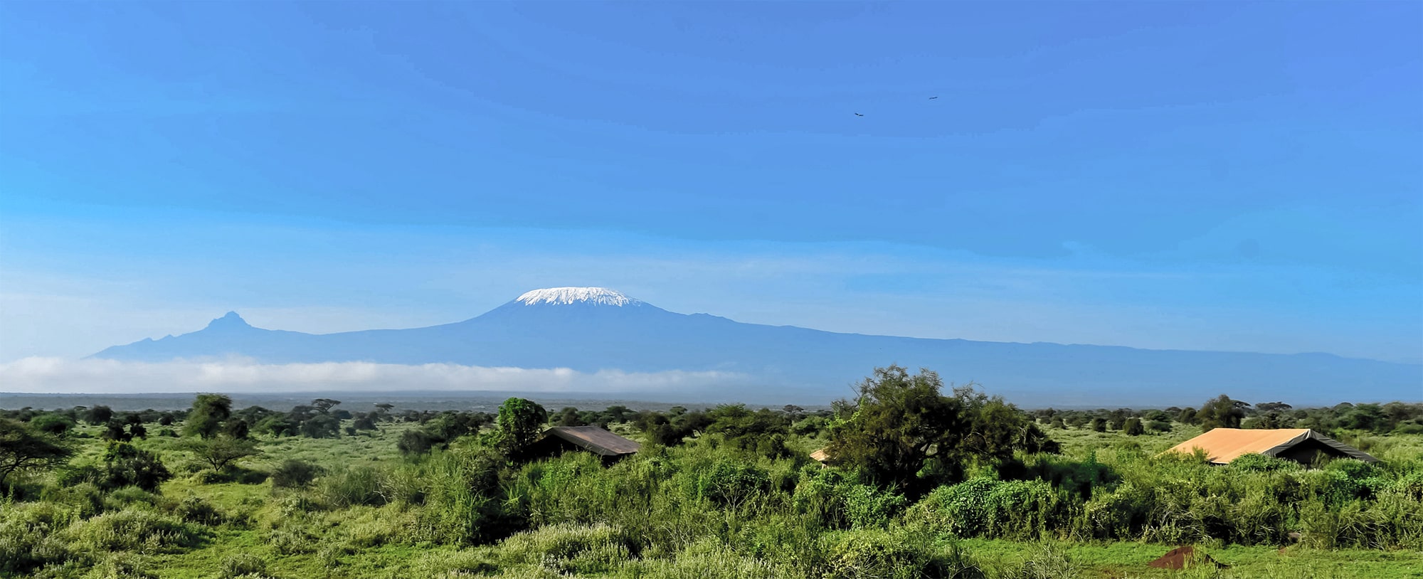 Tulia Amboseli Safari Camp gallery 13