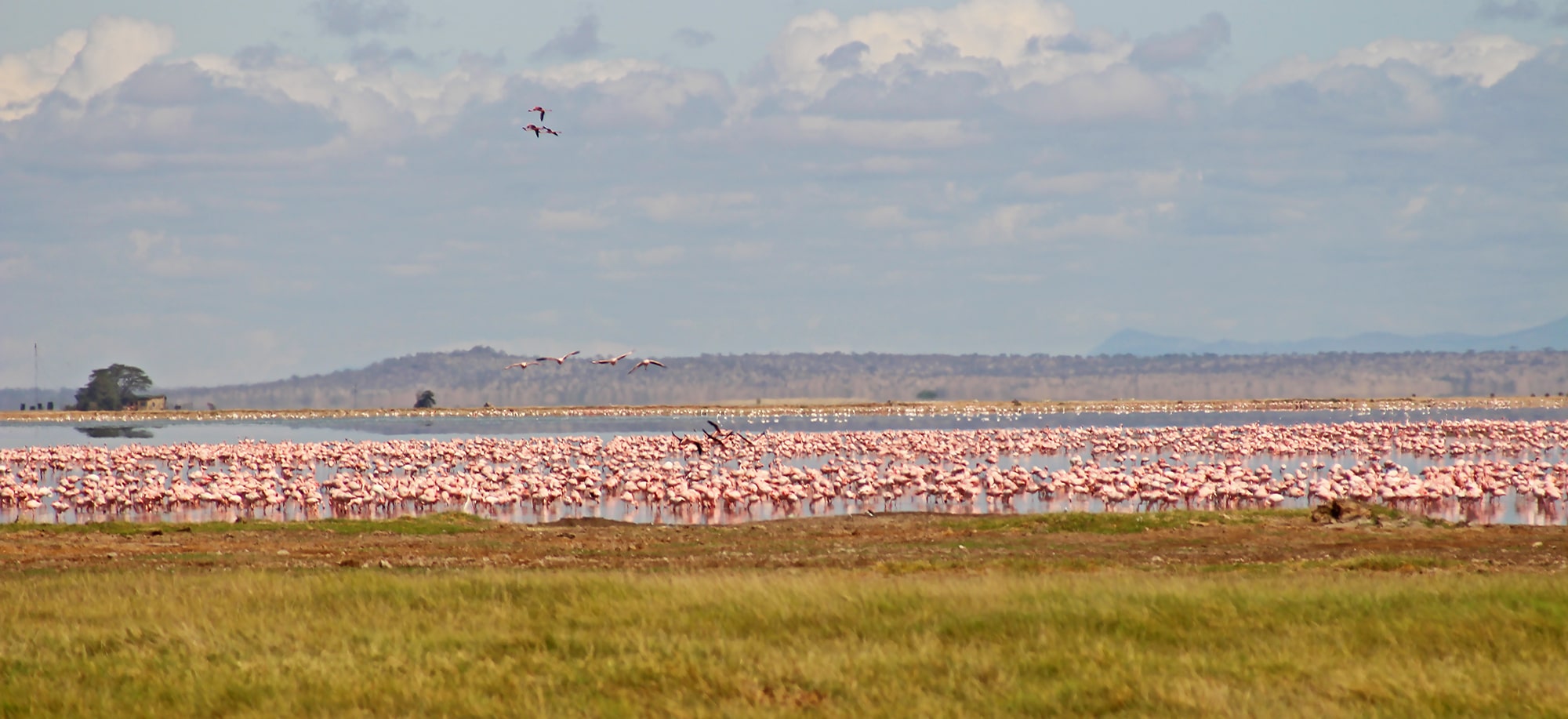 Tulia Amboseli Safari Camp gallery 6