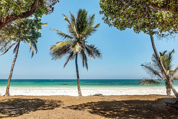 Watamu gallery 4