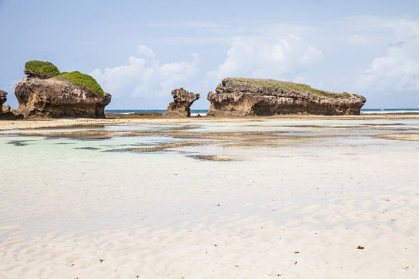 Watamu gallery 5