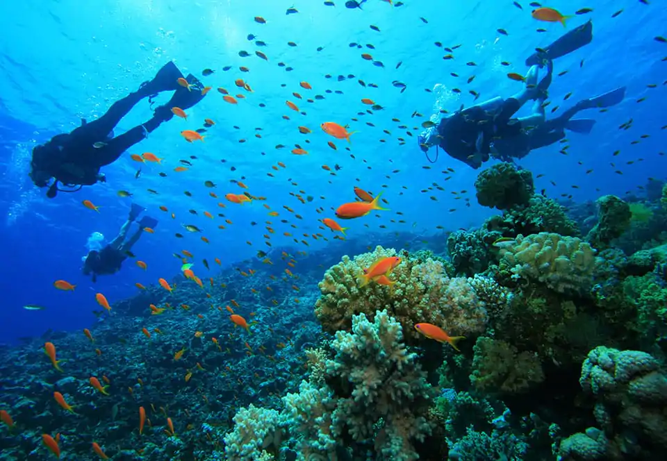 Watamu gallery 7