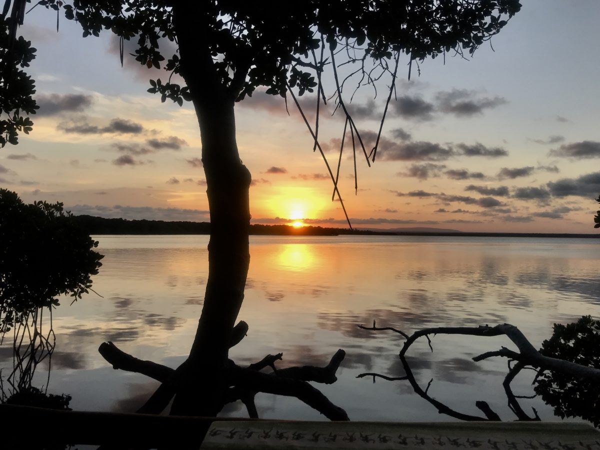 Watamu gallery 9